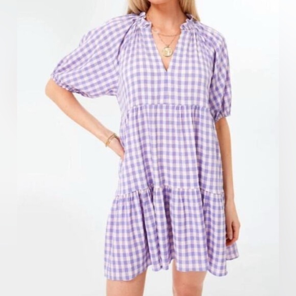 Tuckernuck Dresses & Skirts - Hyacinth House Tuckernuck Sutton Purple Pink Gingham Mini Dress Size Small